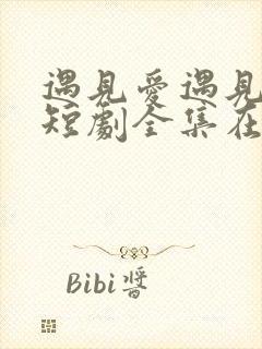 遇见爱遇见幸福短剧全集在线观看