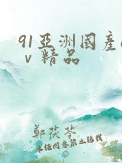 91亚洲国产aⅴ精品