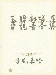 王牌部队在线免费观看全集