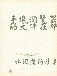 手机浏览器缓存的文件在哪里能找到