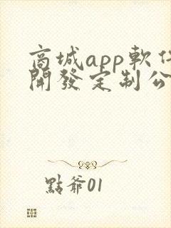 商城app软件开发定制公司