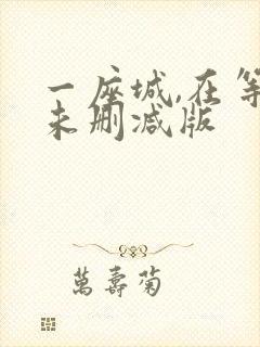 一座城,在等你未删减版