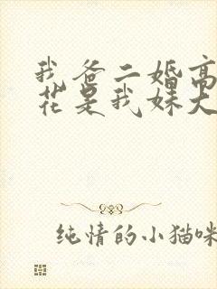 我爸二婚高冷校花是我妹大结局