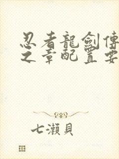 忍者龙剑传2黑之章配置要求