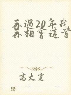 再过20年我们再相会这首歌