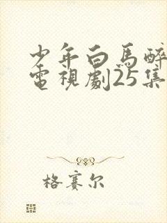 少年白马醉春风电视剧25集在线观看