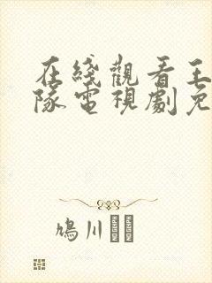 在线观看王牌部队电视剧免费观看全集