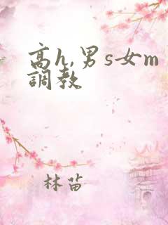 高h,男s女m调教