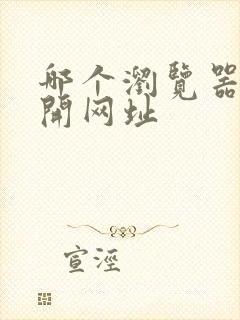 哪个浏览器能打开网址