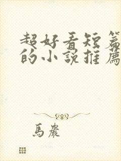 超好看短篇言情的小说推荐