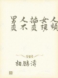 男人插女人下面爽不爽视频