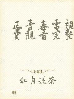 正青春电视剧免费观看完整版西瓜