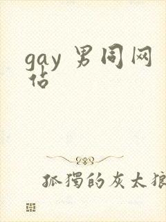 gay 男同网站