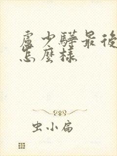 卢少骅最后结局怎么样