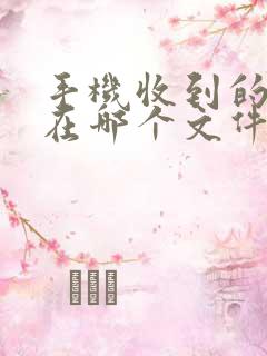 手机收到的文件在哪个文件夹里