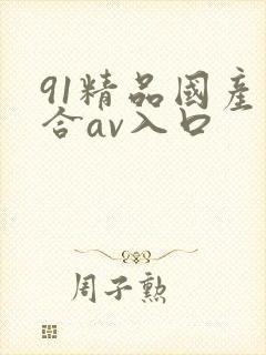 91精品国产综合av入口