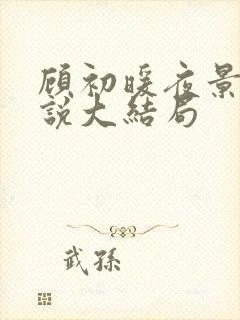 顾初暖夜景寒小说大结局