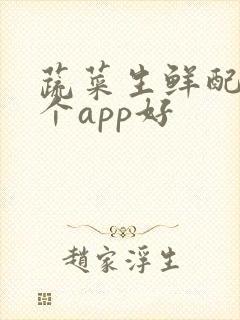 蔬菜生鲜配送哪个app好