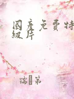 国产免费特黄一级片