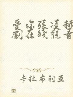 爱你张凌赫电视剧在线观看免费