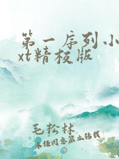 第一序列小说txt精校版