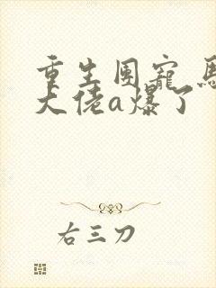 重生团宠 马甲大佬a爆了