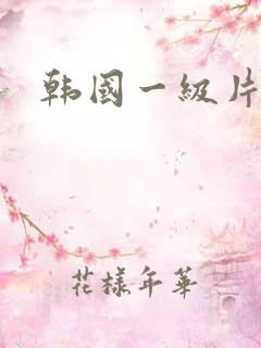 韩国一级片外出