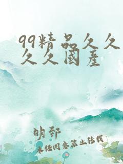 99精品久久久久久国产