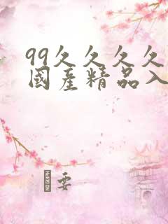 99久久久久久国产精品入口