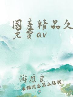 国产精品久久久免费av