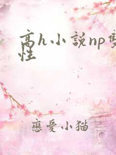高h小说np双性