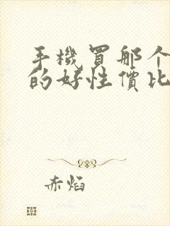 手机买那个牌子的好性价比高的手机