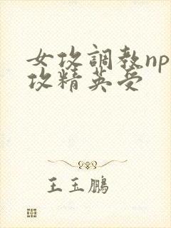 女攻调教np总攻精英受