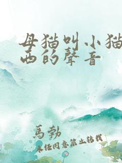 母猫叫小猫吃东西的声音