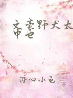 文豪野犬太宰和中也