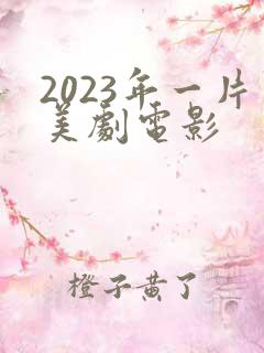2023年一片美剧电影