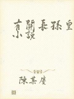 有关长孙皇后的小说