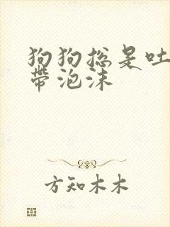 狗狗总是吐黄水带泡沫