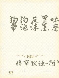 狗狗反胃吐黄水带泡沫怎么办