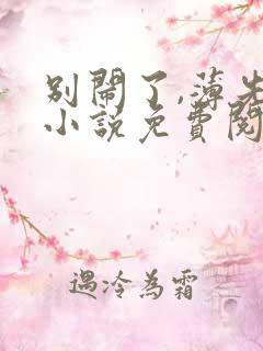 别闹了,薄先生小说免费阅读