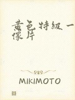 黄色特级一级录像片