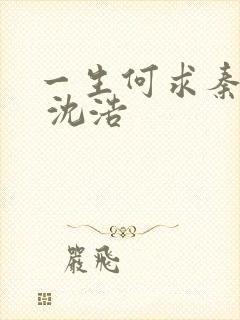 一生何求秦菲雪 沈浩