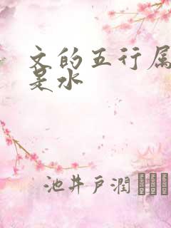 文的五行属火还是水