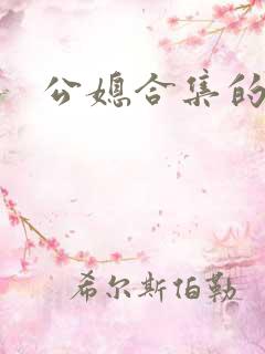 公媳合集的小说