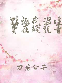 点燃我温暖你免费在线观看全集