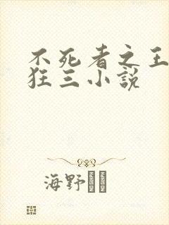 不死者之王时崎狂三小说