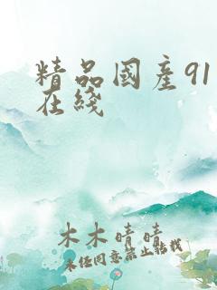 精品国产91一在线