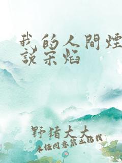 我的人间烟火小说宋焰