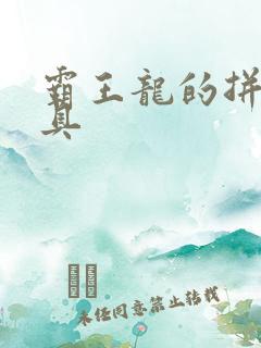 霸王龙的拼装玩具