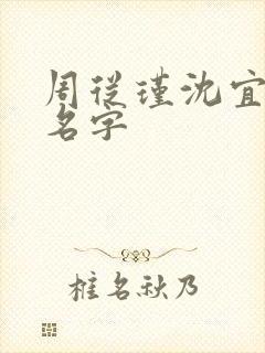 周从瑾沈宜短剧名字